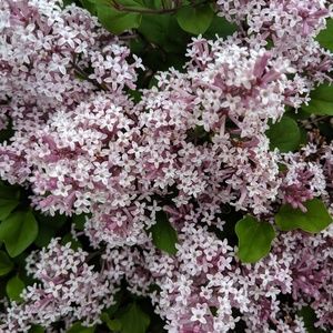 Meet your Posher, Kathleen